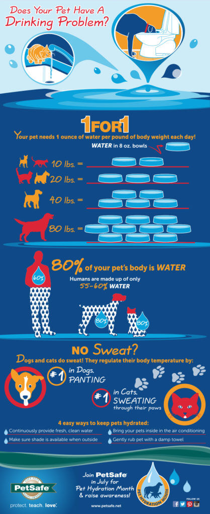 PetSafe Dog Hydration Infographic