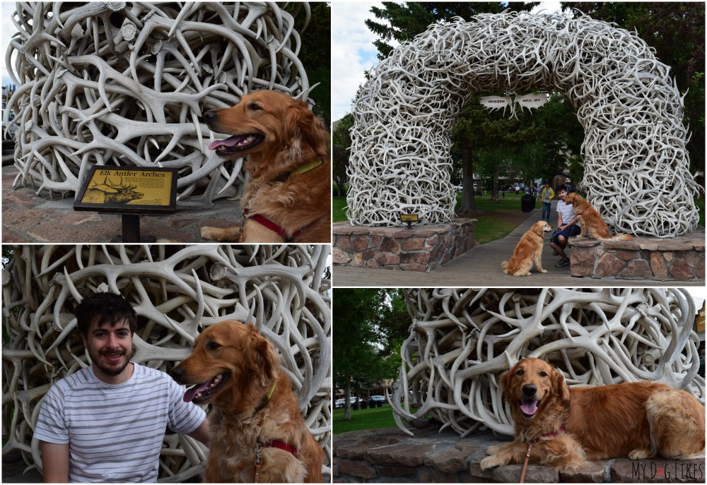 Posing with the Elk Antler Arches in Jackson Hole