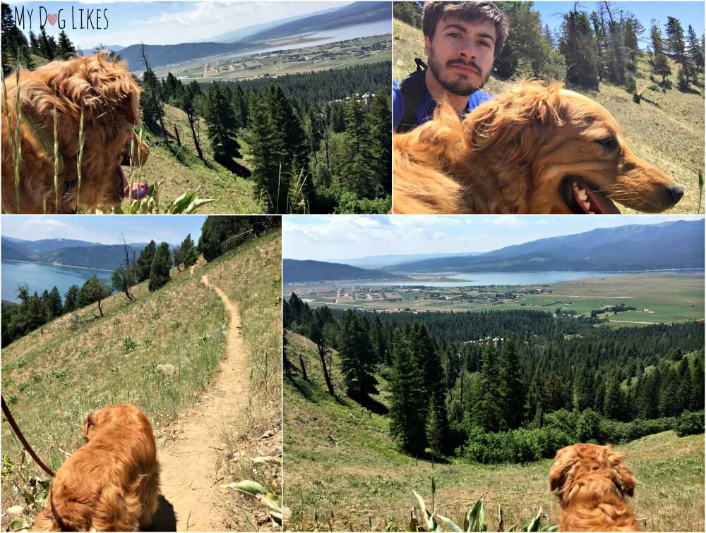 Overlooking the Palisades Reservoir in Alpine, Wyoming