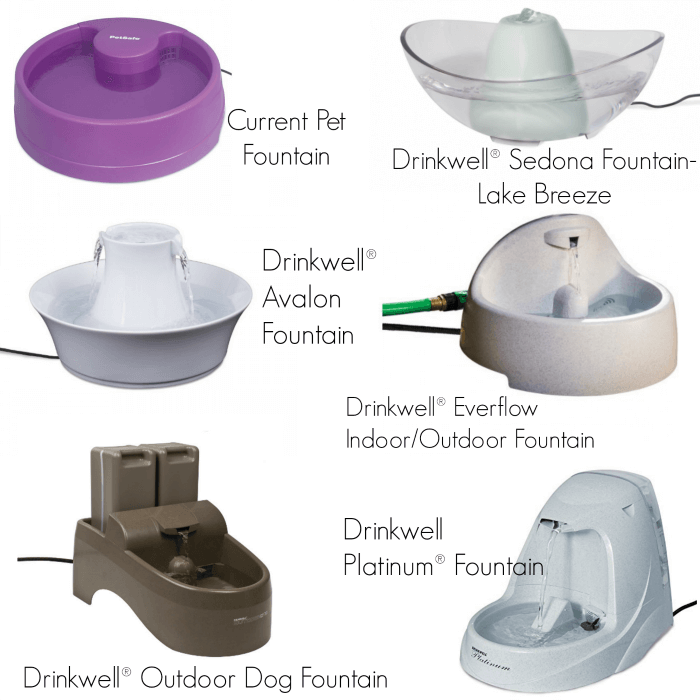 PetSafe water fountains come in a wide variety of shapes and sizes.