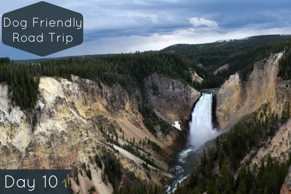 Dog friendly hikes near yellowstone best sale