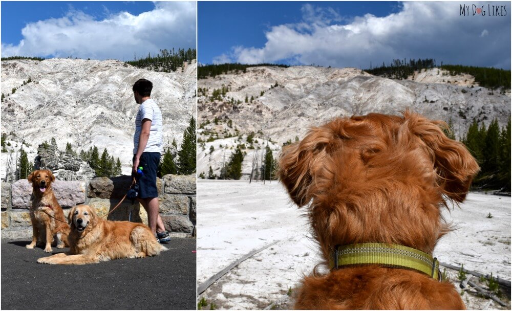 Gazing and listening to Roaring Mountain in Yellowstone National Park