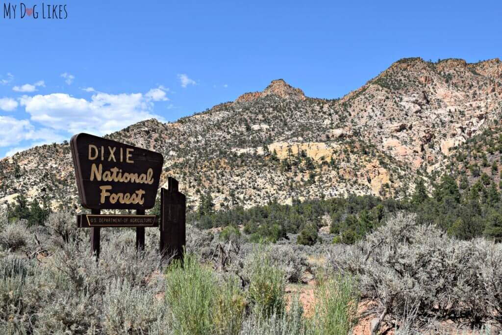 Entering Dixie National forest in southern Utah