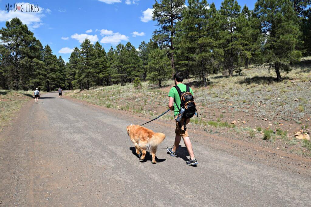 Hiking with dogs at Campbell Mesa near Flagstaff, Arizona