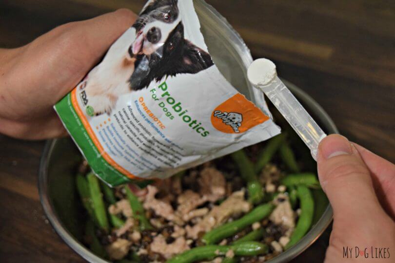 Adding some probiotic supplement to our dogs food.