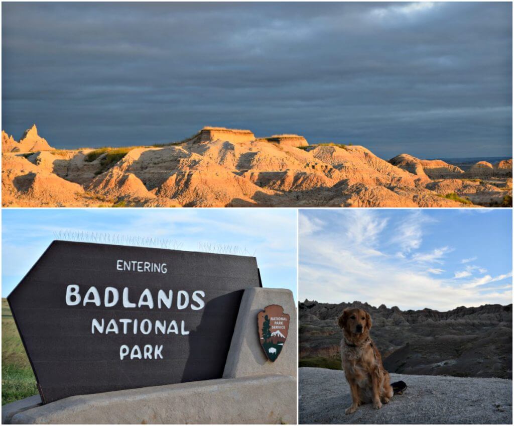 Visiting Badlands National Park with dogs!