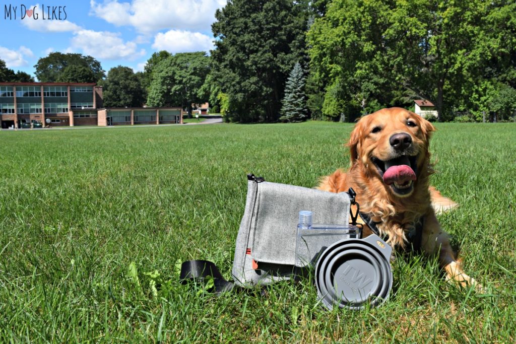 The Travel Wags bag was designed specifically for pet parents.