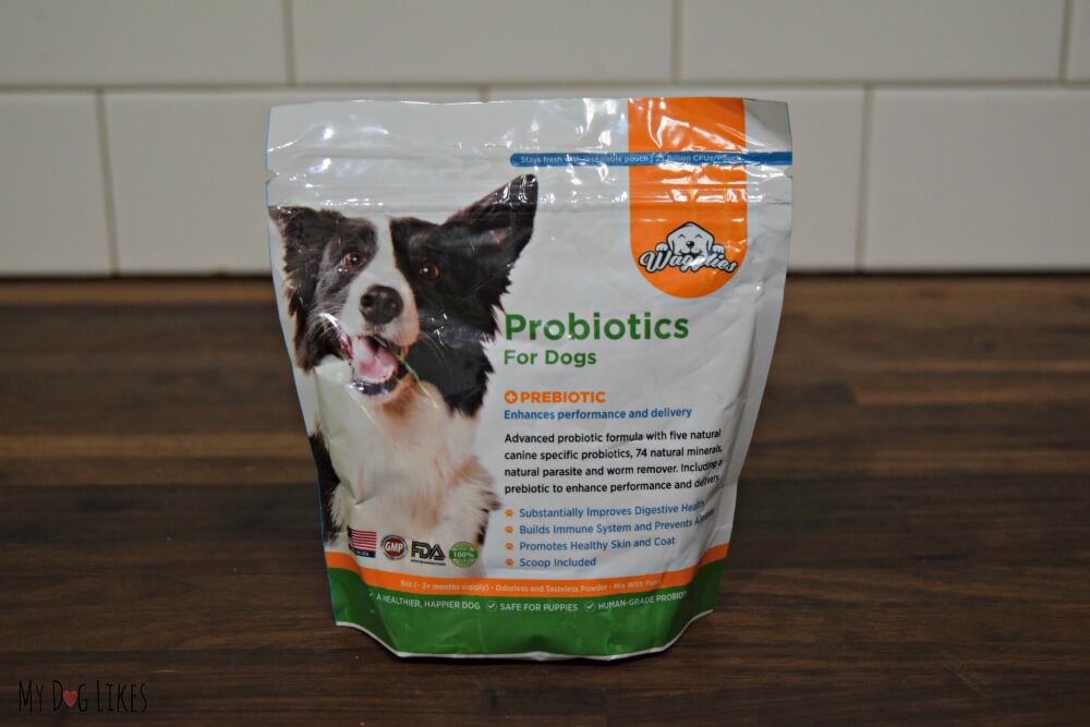 Wagglies Probiotics Review - The Benefits of Probiotics for Dogs