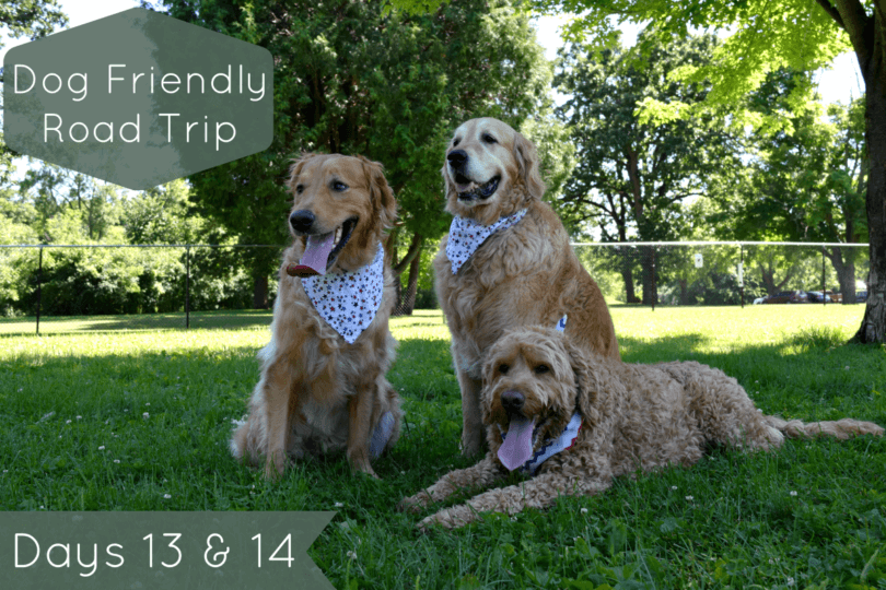 Dog Friendly Road Trip Days 13 & 14 - Headed Back Home