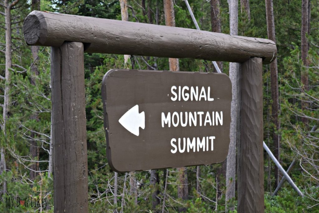 The Signal Mountain road sign across from Jackson Lake