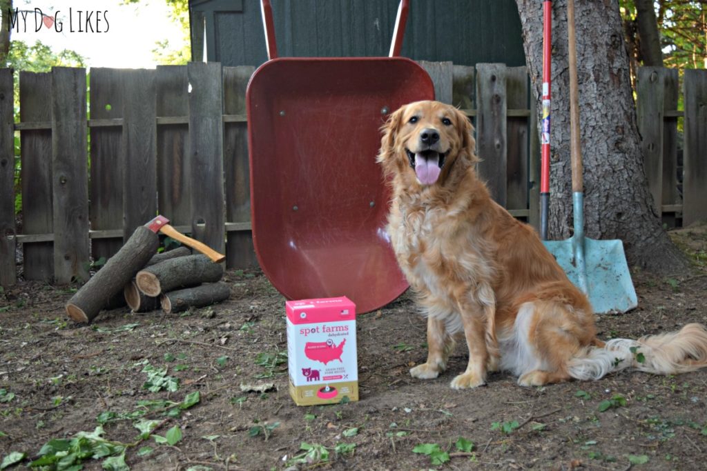 Spot Farms only uses antibiotic free meats from family farms across the US.