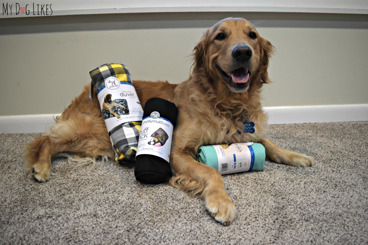 Molly Mutt Duvet Dog Bed Review Stylish & EcoFriendly