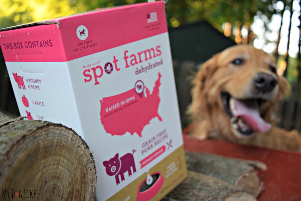 Charlie is excited for the taste test portion of our Spot Farms review.
