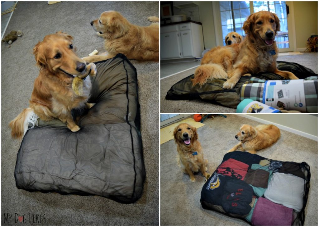 Stuffing the Molly Mutt Bed with pillows, blankets, towels and clothes!