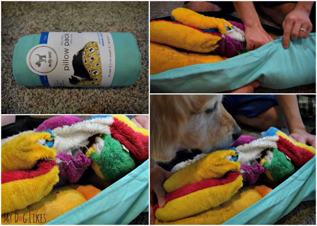 Stuffing the Pillow Pack with worn out and destroyed stuffed dog toys.