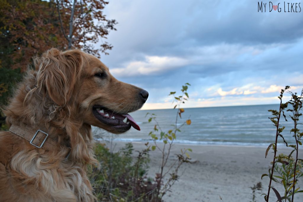 Gorgeous view of Lake Ontario from Durand Eastman Beach