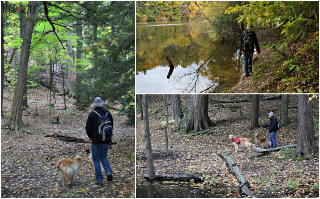 Hiking with Harley along the Eastman Lake Trail