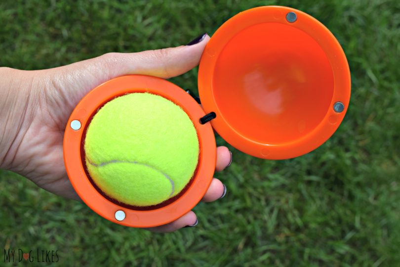 The Fetch It is designed to hold a tennis ball - so that you don't have to!