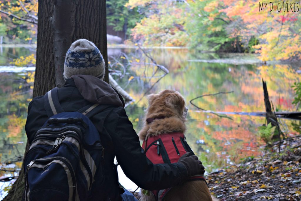 Hiking with dogs at Durand Eastman Park