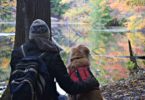 Read our guide to hiking with dogs at Durand Eastman Park just outside of Rochester, NY