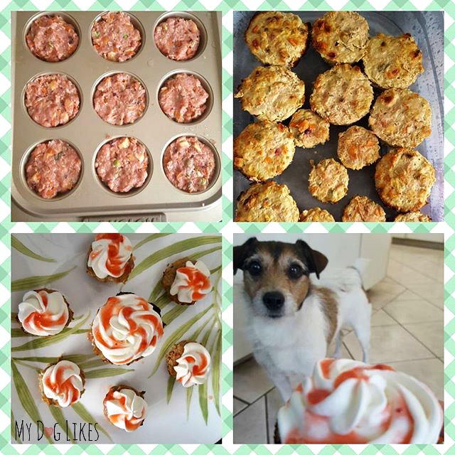 Nala is ready to dig in to her homemade dog cupcakes!