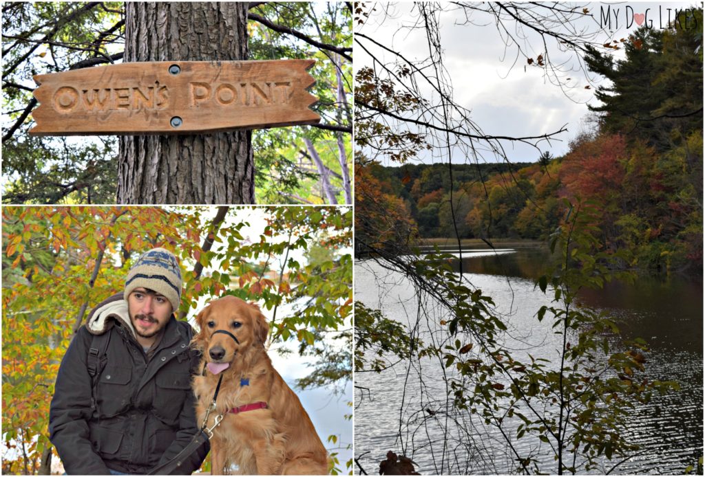 Enjoying the view at Owens Point off the Eastman Lake Trail