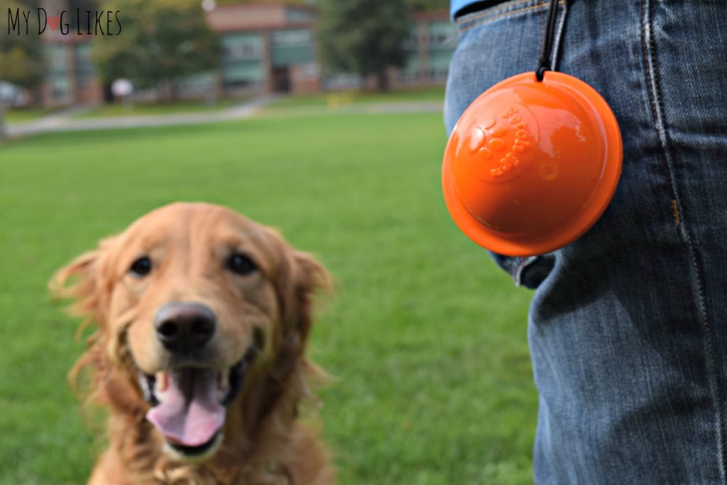 Tennis ball carrier clipped to belt loop.