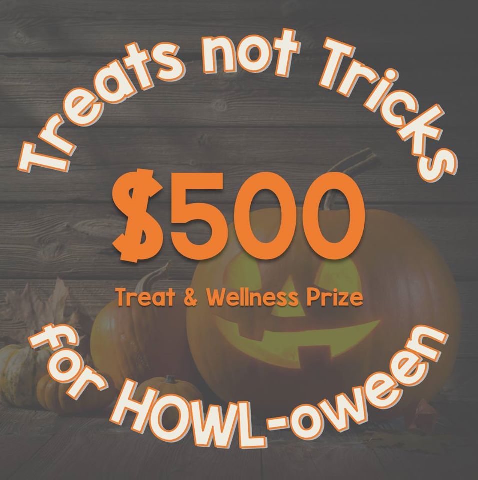 Treats not Tricks HOWL-oween giveaway Logo