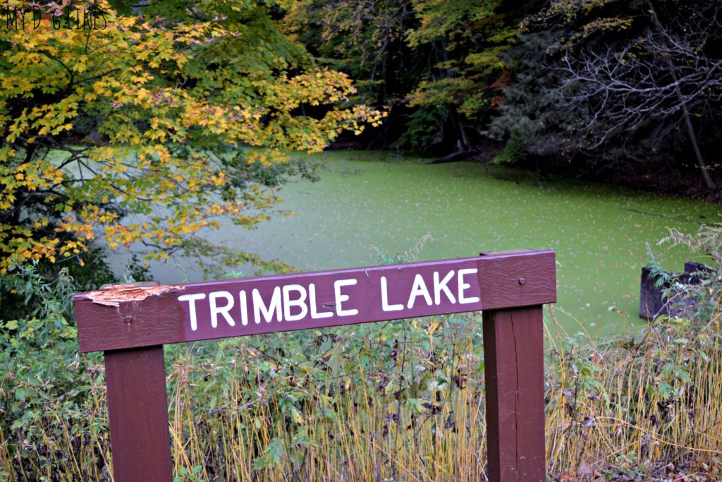 Looking over Trimble Lake from Log Cabin Road at Durand Eastman Park