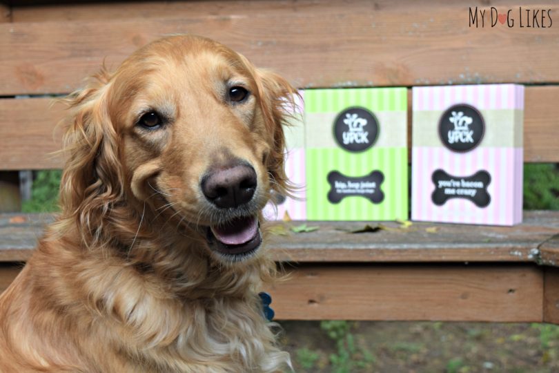 Reviewing dog treats from Yuppy Puppy City Kitty