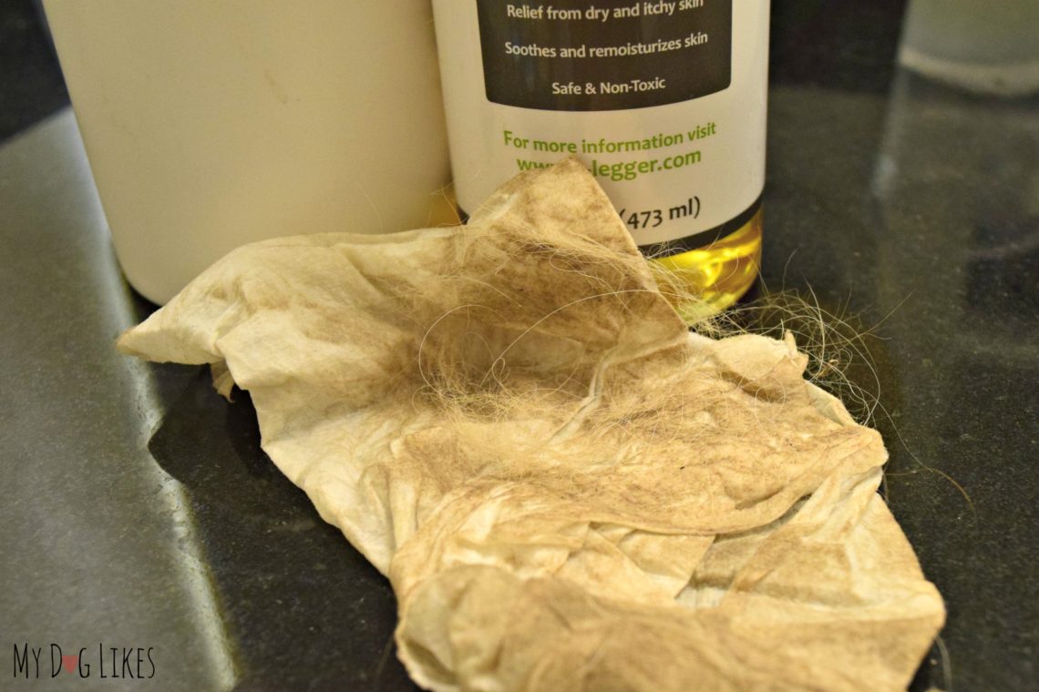 Making DIY Dog Grooming Wipes Perfect for on the Go!