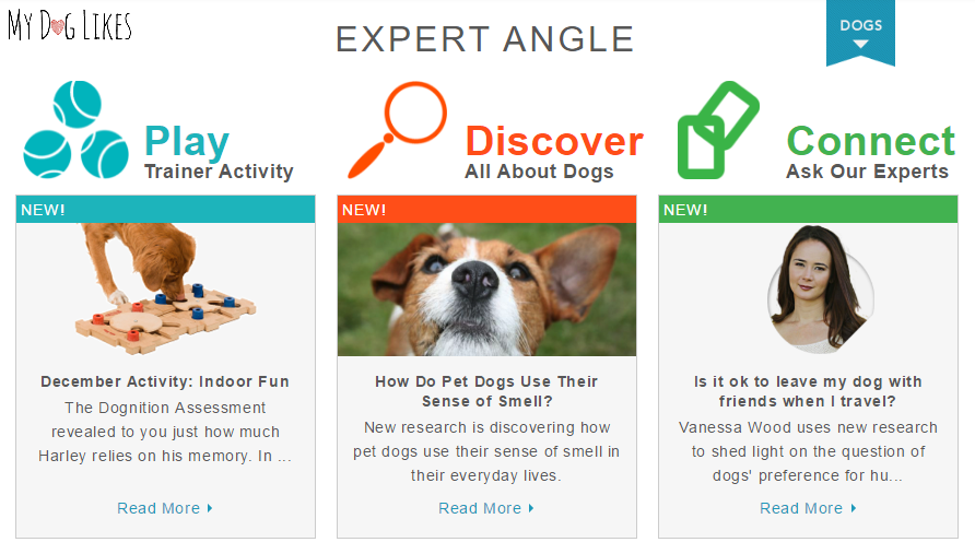 Screenshot of the activities dashboard inside the Dognition membership area.
