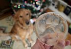 A glass paw print makes for a truly unique gift for any dog lover and a one-of-a-kind dog keepsake.