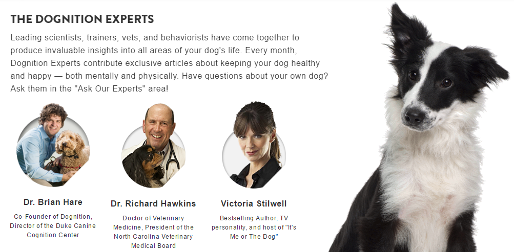 Dognition membership includes access to columns by canine experts including Dr. Brian Hare and Victoria Stilwelll