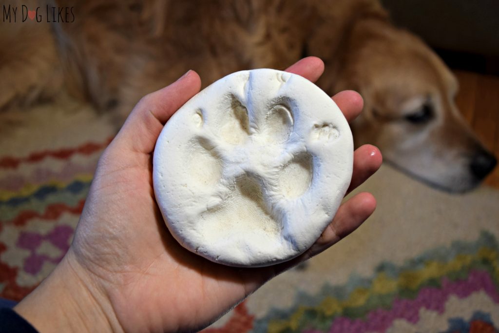 Harley's DIY paw print impression - ready to send back to Hot Sand!