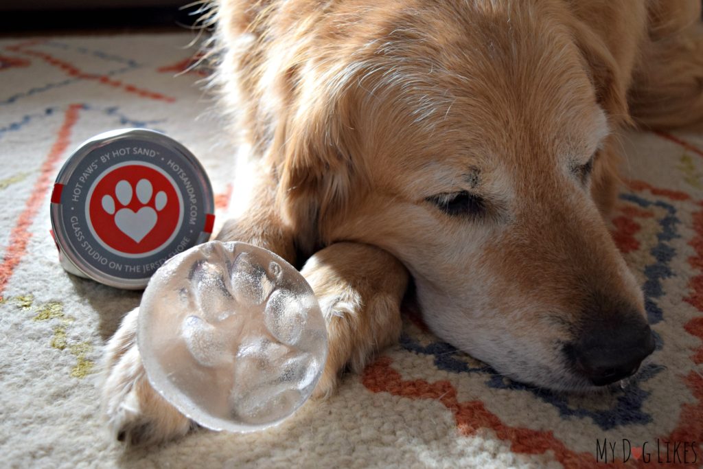 MyDogLikes reviews Hot Paws DIY glass paw print kit.