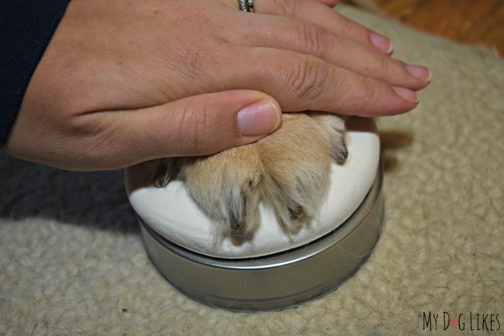 Push down your dogs paw firmly to assure a good impression.