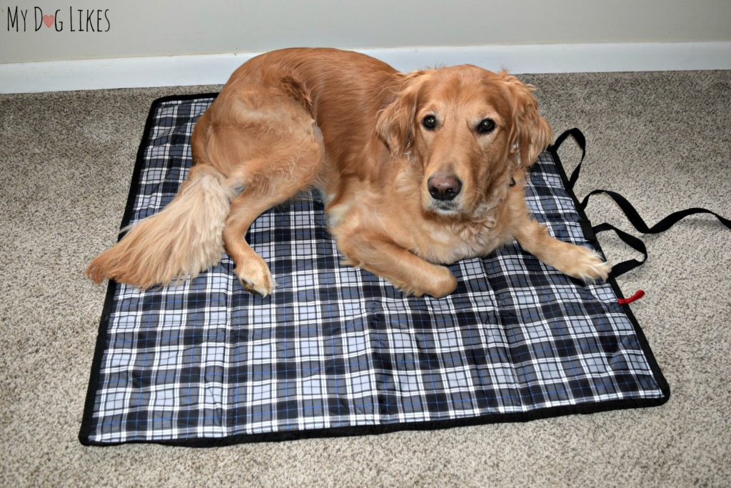 We practiced using our Griffs4Dogs mat at home before heading out with it