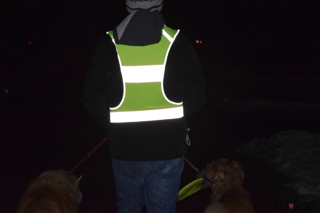 Reviewing EvoLink's reflective vest for dog walking