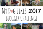 MyDogLikes entry into the 2017 Pet Blogger Challenge