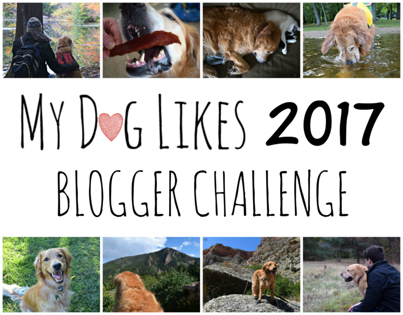 MyDogLikes entry into the 2017 Pet Blogger Challenge