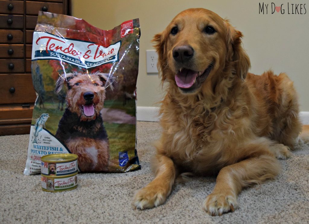 Tender and True Dog Food Review Because the Welfare of ALL