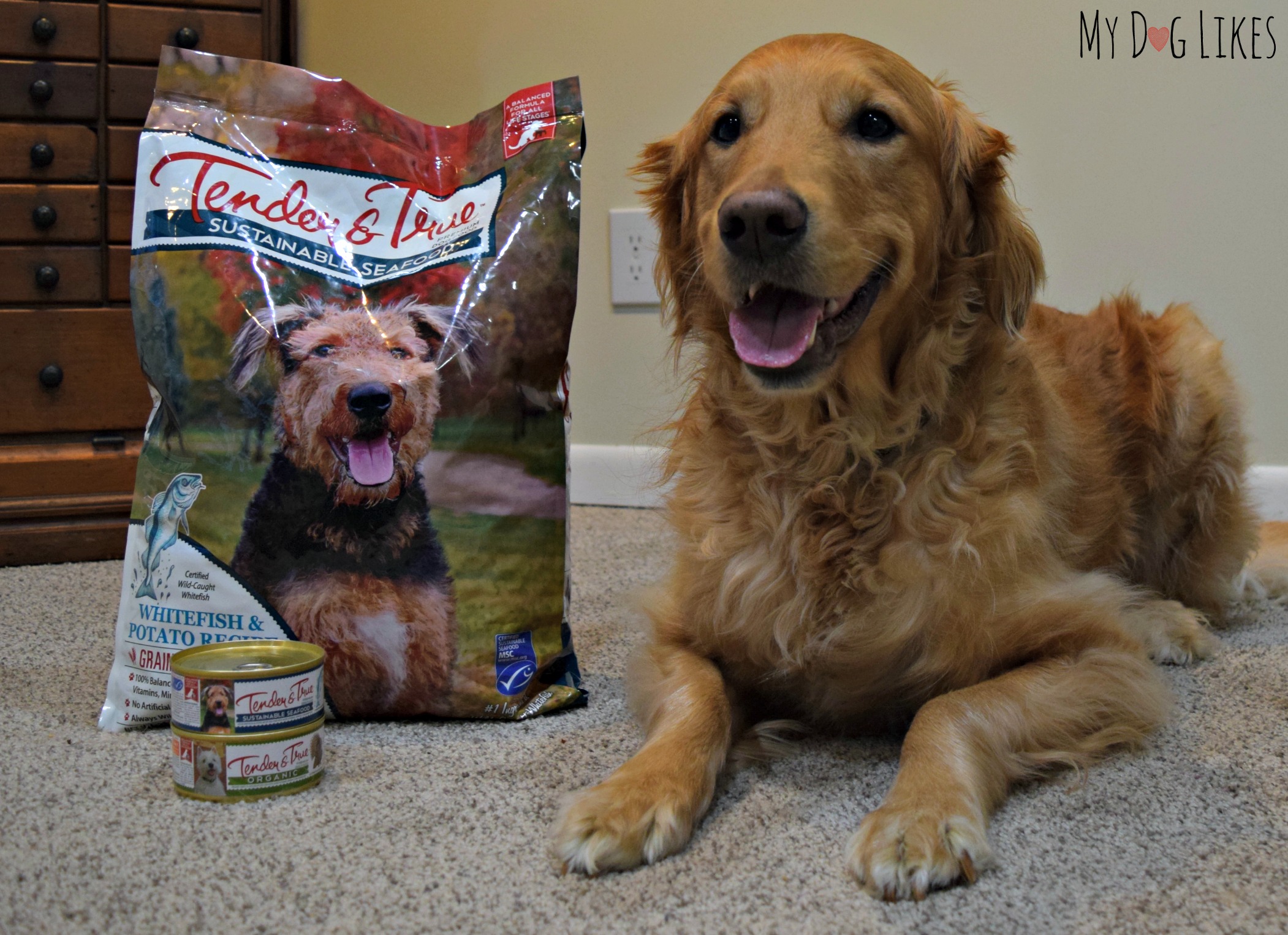 Tender and True Dog Food Review - Because the Welfare of ...