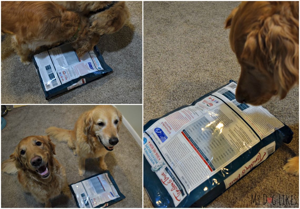 Tender and True Dog Food Review Because the Welfare of
