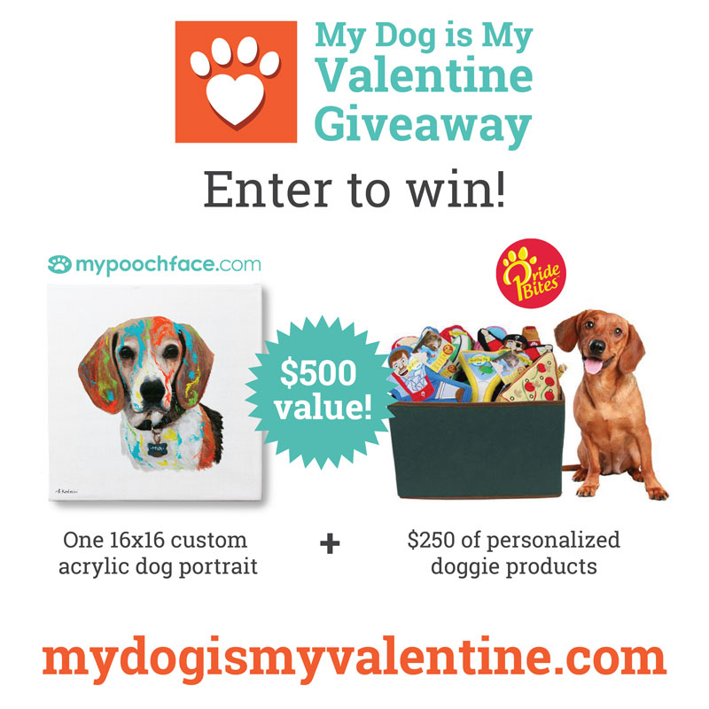 My Dog Is My Valentine Giveaway from PrideBites and MyPoochFace.com