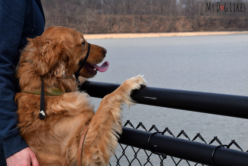 Overlooking the Genesee River from the Boardwalk Trail