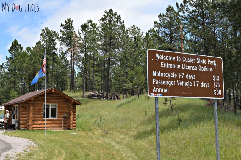 Visiting Custer State Park with Dogs A Black Hills Gem!