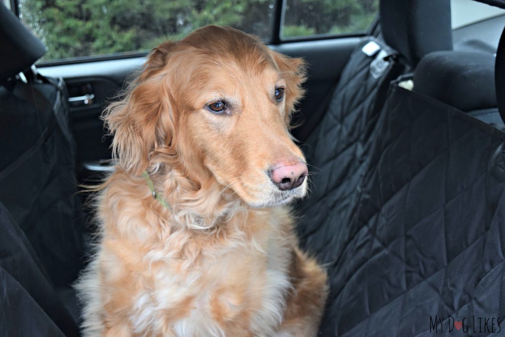 A quality seat cover is a necessity for traveling with dogs!