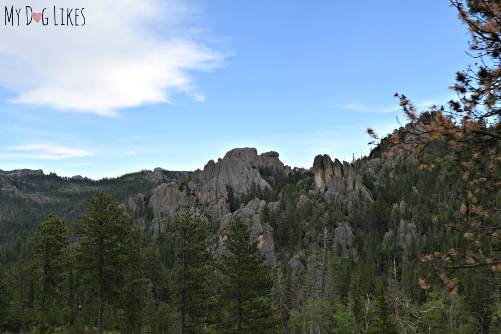 Gorgeous granite spires from the Needles Highway