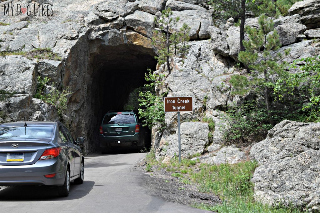 Driving through the Iron Creek Tunnel on Needles Highway